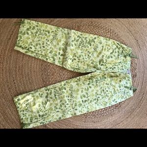 Anthropologie Elevenses Crops, 4